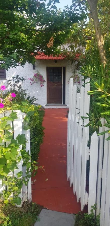 La Corte Delle Rose B&B Praia a Mare Exterior photo